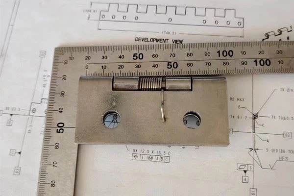 Stainless Steel Heavy Duty Spring Hinge